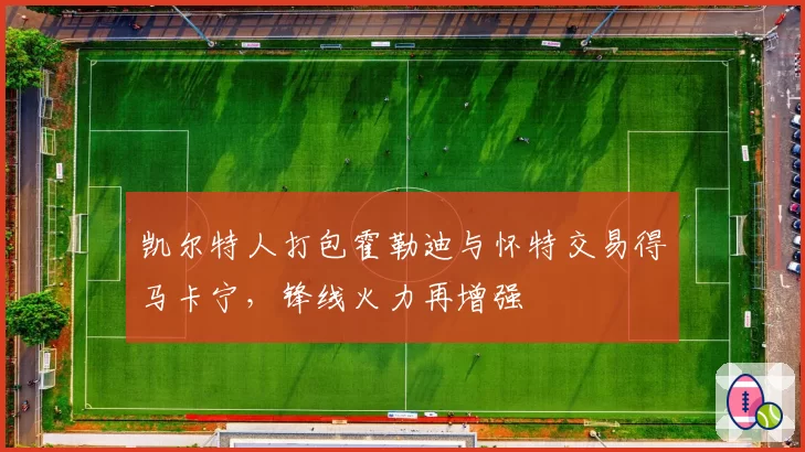 凯尔特人打包霍勒迪与怀特交易得马卡宁，锋线火力再增强